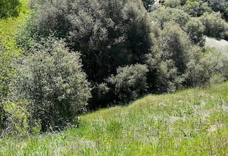 27 & 28 Capanero Oaks Ct, California Hot Springs, CA 93207