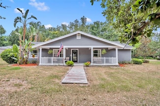 305 W Briley Ave, Oakland, FL 34760