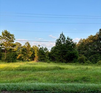 8 Oscar Smith Rd, Carriere, MS 39426