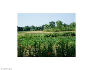 16 Spieth Rd, Litchfield, OH 44253