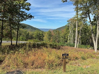 DR #50 N Forest Trail, Hot Springs, VA 24445
