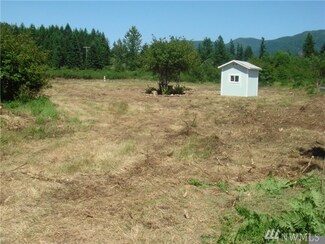 195 Lakeview Dr, Mossyrock, WA 98564