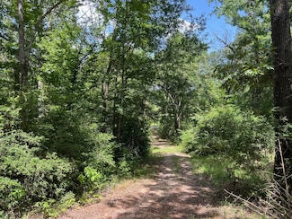 11 ac Private Road 2205, Buffalo, TX 75831