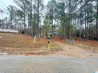 3800 County Road 61, Clanton, AL 35046