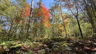 Lot 135 Montrose Dr Unit 135, Mancelona Township, MI 49659