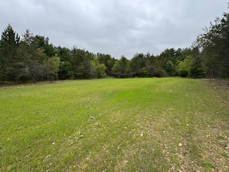 0 W Forest Rd, Forest Township, MI 49651