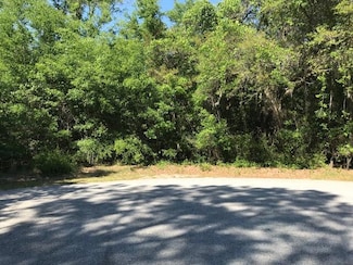 3434 Kit Freeman Ln, Johns Island, SC 29455