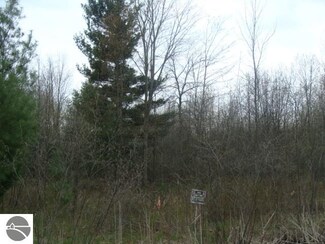 0 Noggle Rd Unit 1816217, Omer, MI 48749