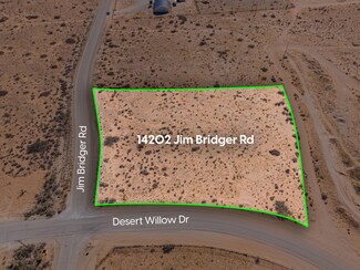 14202 Jim Bridger Rd, Clint, TX 79836