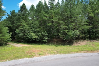 0 Crockett Point Unit RTC2598434, Jasper, TN 37347