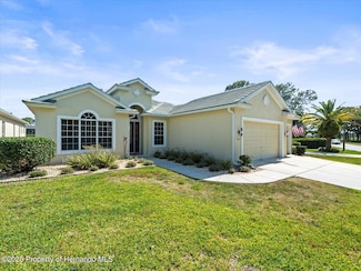 9010 Penelope Dr, Weeki Wachee, FL 34613