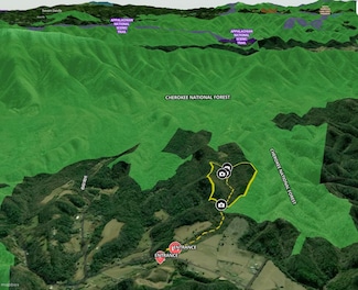 0 Tbd W of Buchanan Ln Unit LotWP001, Bluff City, TN 37618