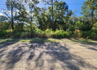6984 W Polaris Ct, Homosassa, FL 34446