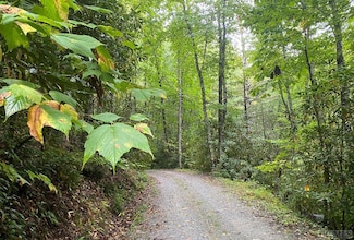 Lot F114 Trimble Ridge, Glenville, NC 28736