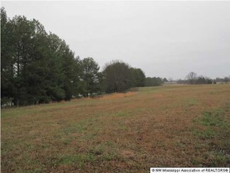 90 Hunters Chapel Rd, Como, MS 38619