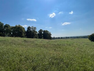 Tract 12 Newman Rd, Scottsville, KY 42164