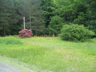 2046 Nordmont Rd, Muncy Valley, PA 17758