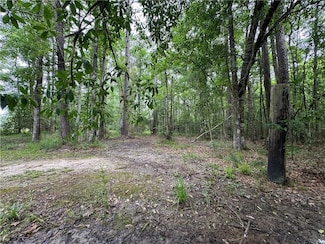 TBD Woodland Dr, Oakdale, LA 71463