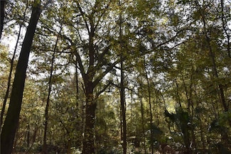 1220 SE US Highway 301, Hawthorne, FL 32640