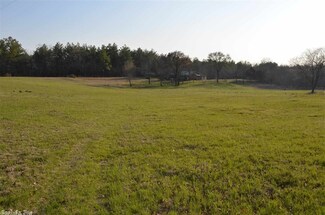 HC 15 Box 20230, Watson, AR 74963
