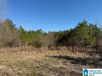 0 Hopewell Rd Unit 1 21410751, Bessemer, AL 35022