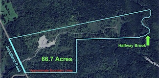 Lot43.12 Jemtland Rd, Connor Unorganized Territory, ME 04762