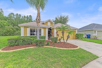 5618 Sheer Bliss Loop, Land O Lakes, FL 34639