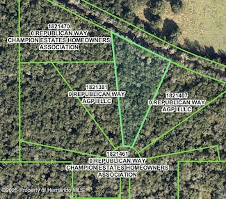 0 Republican (Lot 7) Way Unit 2252592, Brooksville, FL 34601
