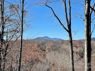 142 Tanglewood Trail, Blowing Rock, NC 28605
