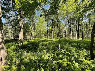 00 Sugar Bush Trail, West Branch Township, PA 16922