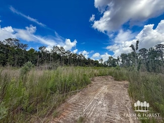 0 Hwy 87, Jack, AL 36346