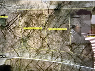 7382-7387 Pine Ridge Ct, Belding, MI 48809