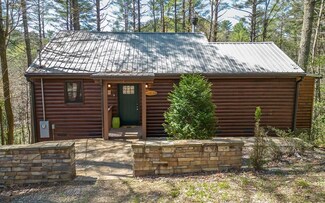 67 All Good Rd, Cherry Log, GA 30522