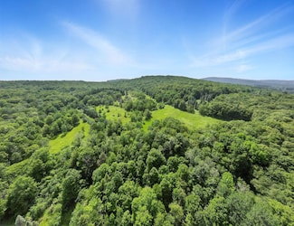 1064 Pine Mill Rd, Equinunk, PA 18417