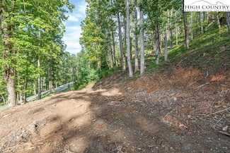 C1 Eagles Nest Trail, Banner Elk, NC 28604