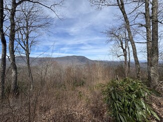 L3 Windy Gap Ln, Sapphire, NC 28774