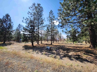 Lot 131 Fisher Rd Unit 7-3, Weed, CA 96094