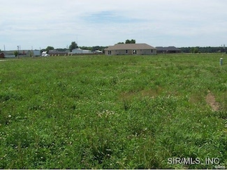 624 Hailie St, Saint Libory, IL 62282