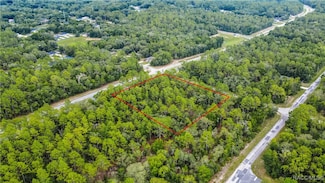 1287 W Evergreen Dr, Citrus Springs, FL 34434