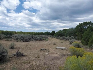 Parcel E Off 285, Tres Piedras, NM 87577