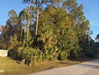 9 Pinelark Ln, Palm Coast, FL 32164