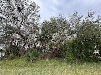 0 River Rd Unit MFRNS1083561, New Smyrna Beach, FL 32169