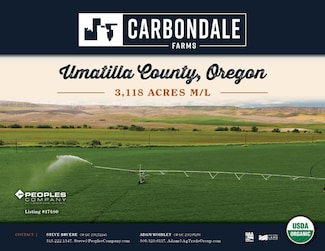 0 Umapine Rd, Umapine, OR 97862