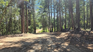 0 Quartz Creek Rd Unit TL 500 220192195, Merlin, OR 97532