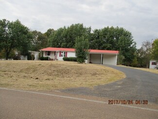 2167 Pleasant Site Rd Unit 1, Selmer, TN 38375