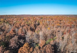 00 County Road 748, Centerville, MO 63633