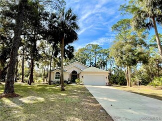 7 Nancy Pkwy, Yankeetown, FL 34498