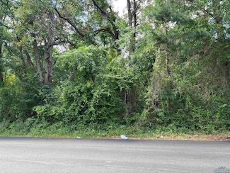 1905 Martin Luther King jr Dr, Henderson, TX 75652