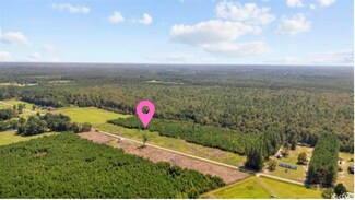 LOT 8 State Road S-26-266, Nichols, SC 29581