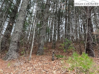 5 Speckled Dr, Laurel Springs, NC 28644